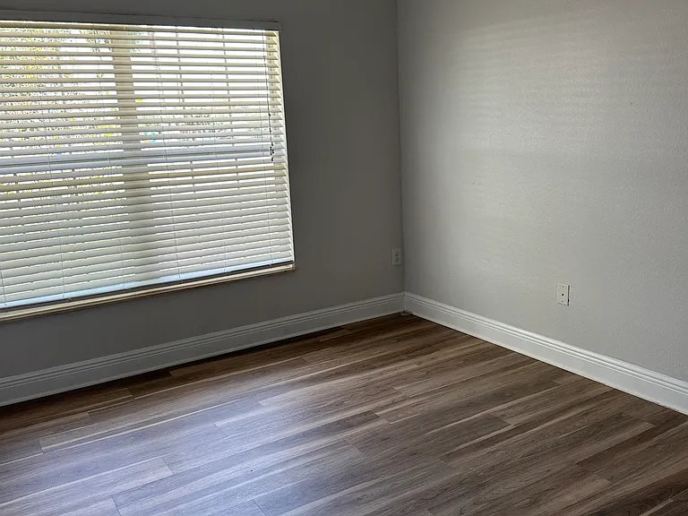 6501 Manila Palm Way — Photo 7