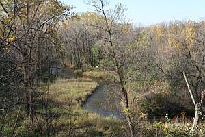 Backyard (Fall)