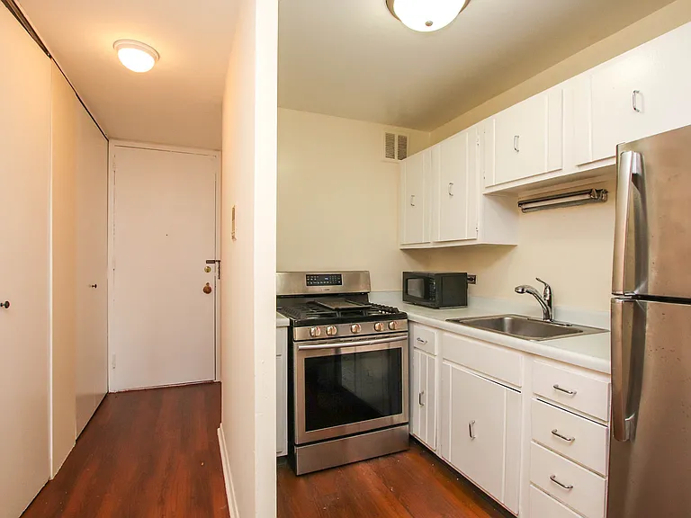1 E Scott St #1406 — Photo 6