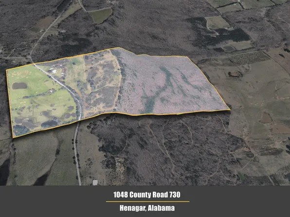 1048 County Road 730, Henagar, AL 35978