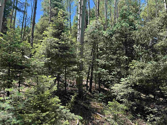 3rd image of Lot 374A Vail Loop