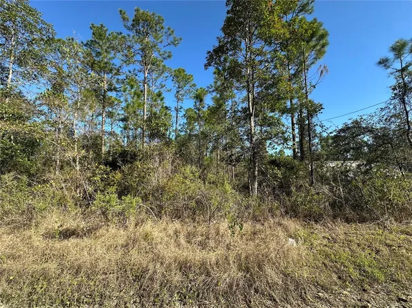 124 E Alachua St, Palatka, FL 32177