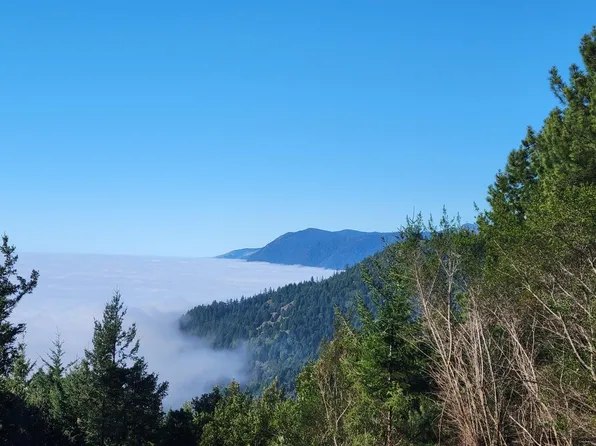 99 Carson Ct, Whitethorn, CA 95589