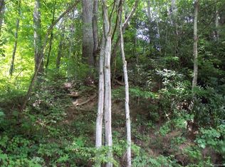 61 Setzer Cove Rd, Maggie Valley, NC 28751