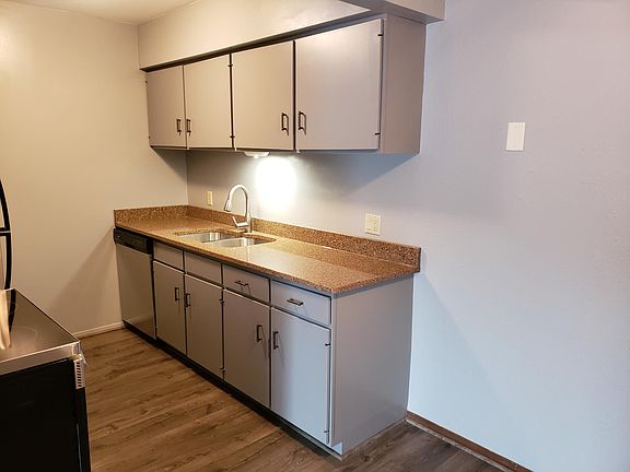 Pullout faucet, dishwasher, garbage disposal. Double sink with larger bowl on one side to accommodate oversized pans