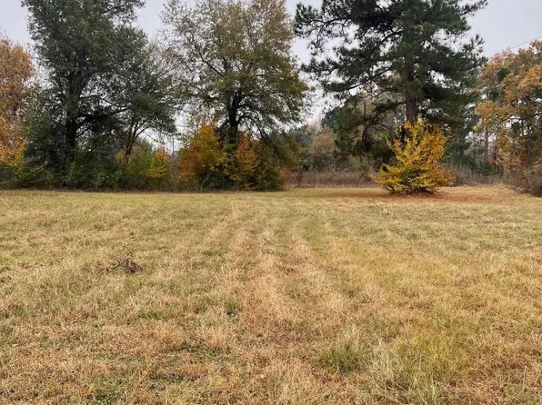 1393 County Road 1128, Tyler, TX 75704