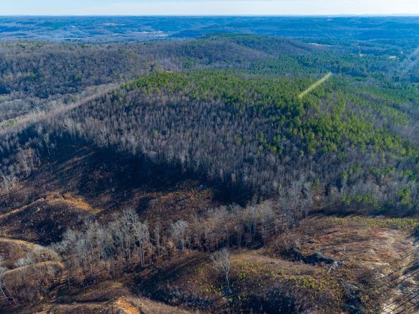 0 Rock Creek Rd, Eva, AL 35621