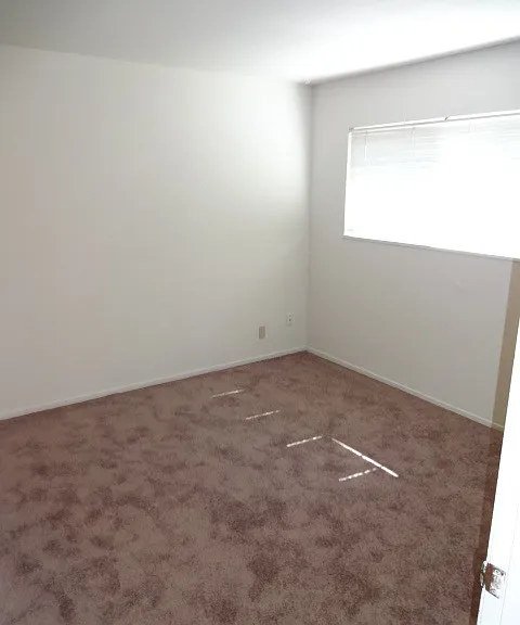 4209 Horgan Way — Photo 14