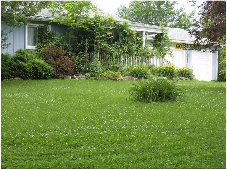 1381 Swarthout Rd photo 1