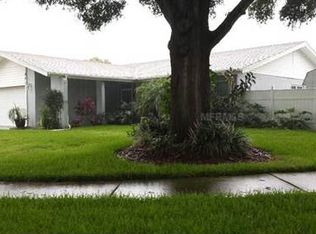 828 Ambassador Loop, Tampa, FL 33613