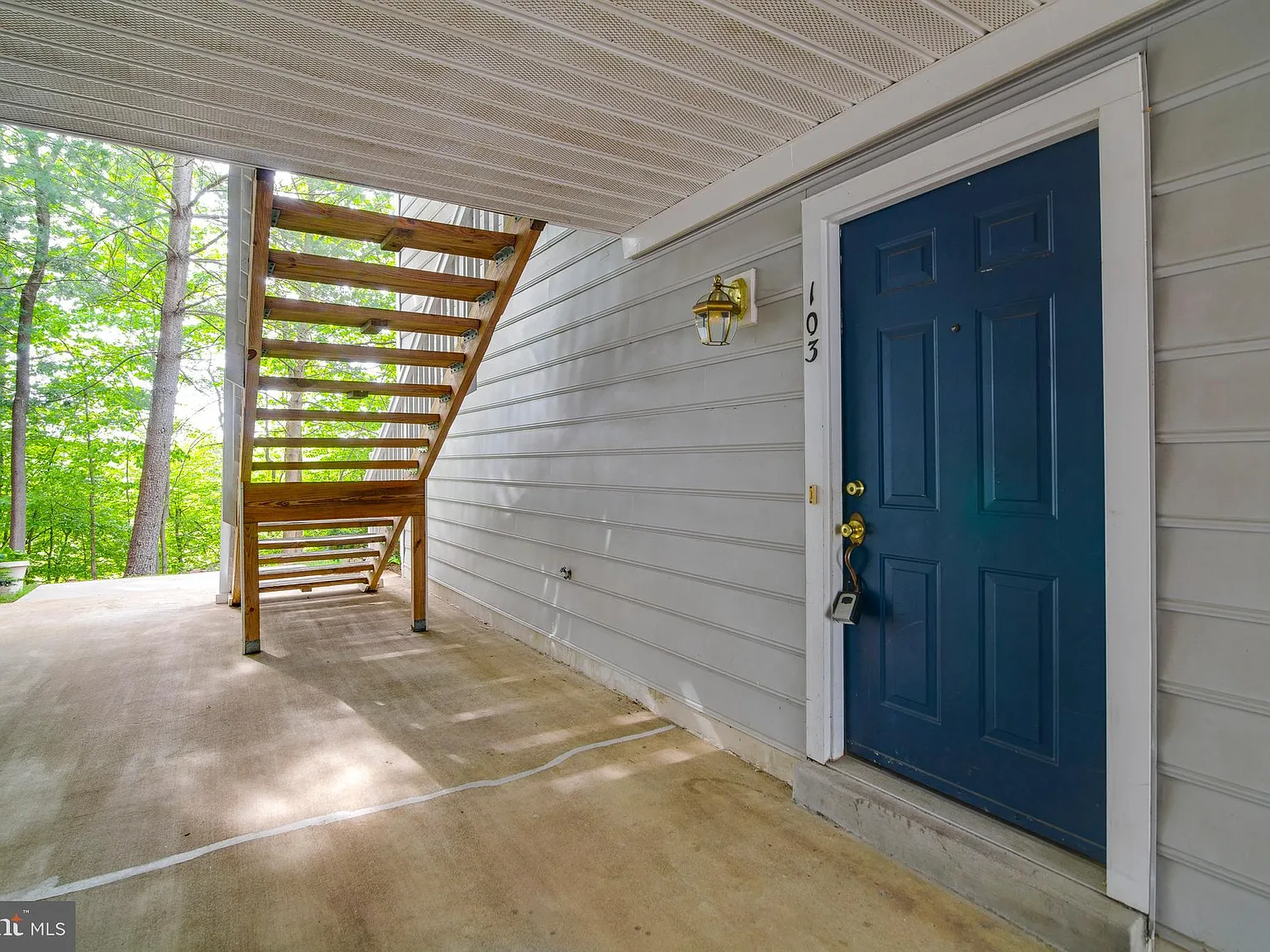 Princeton Woods — Photo 2