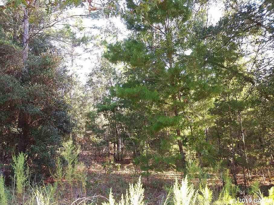 2nd image of 122 Bessie Ln