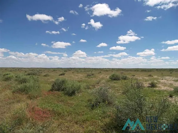 Lalo Rd SE, Deming, NM 88030