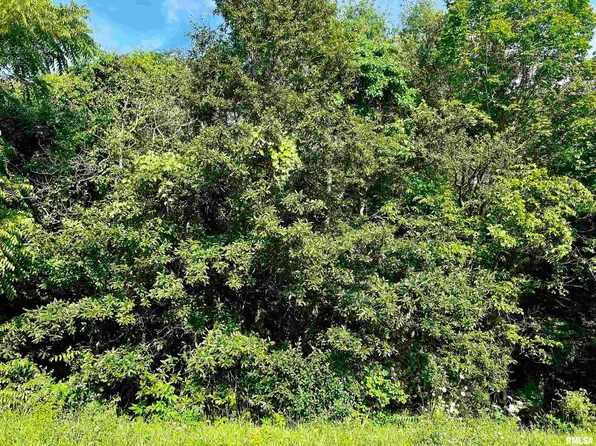 18094 Collins Rd, West Frankfort, IL 62896