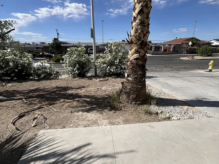 3608 W Bonanza Rd — Photo 7