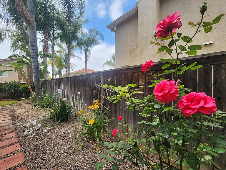 33694 Marigold Ln — Photo 37