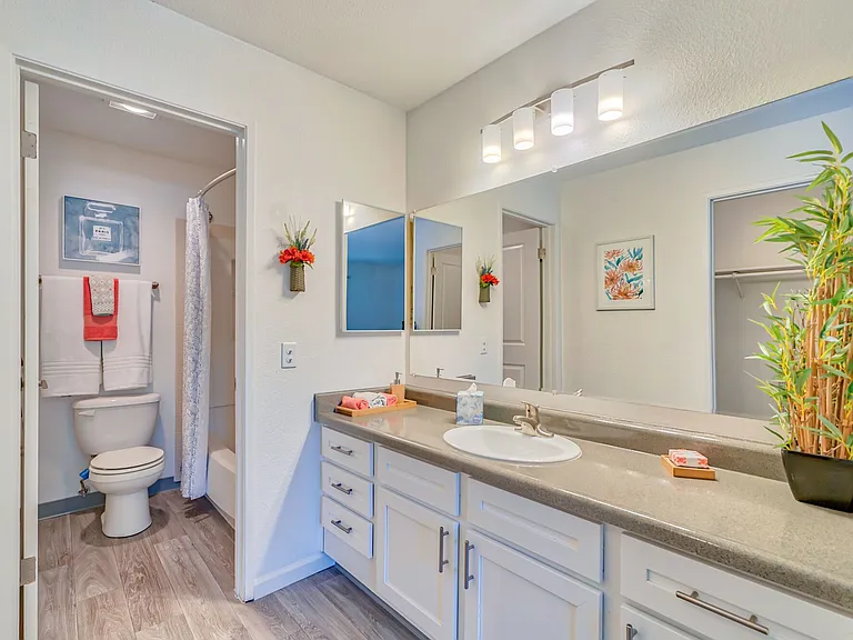 Park Vista Apartments — Photo 5