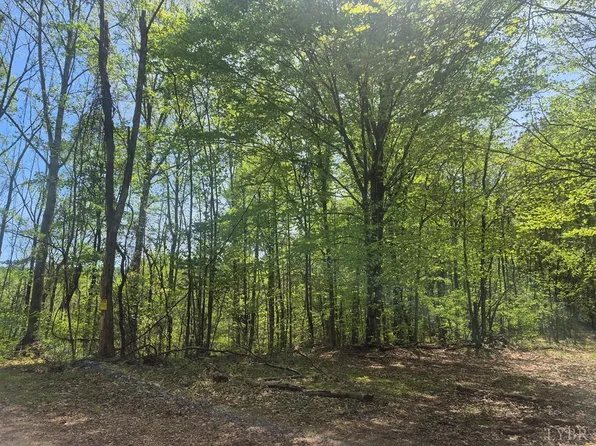 0 Greenfield Dr Lot 20, Gladstone, VA 24553