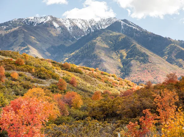 1043 Summit Dr, Salem, UT 84653