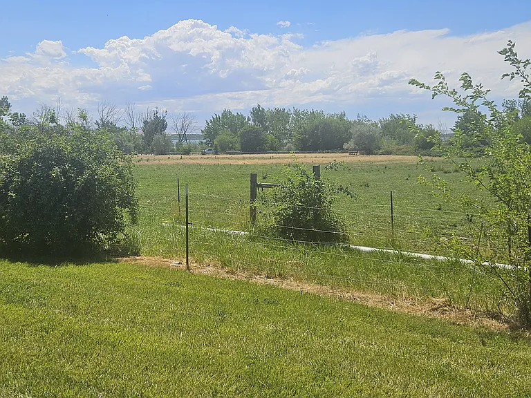 back yard to neighbor pasture