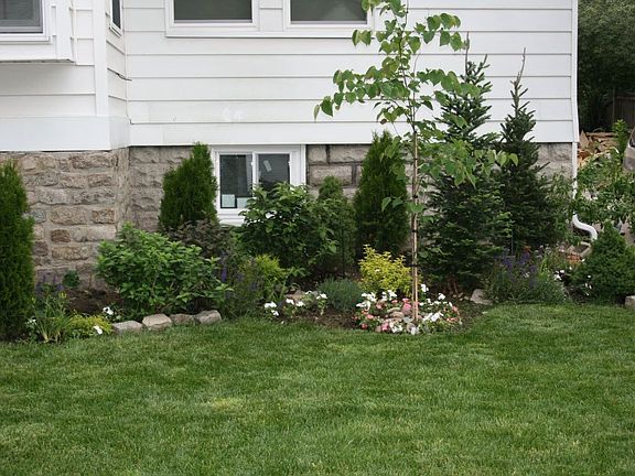 Front Lawn W/ Garden