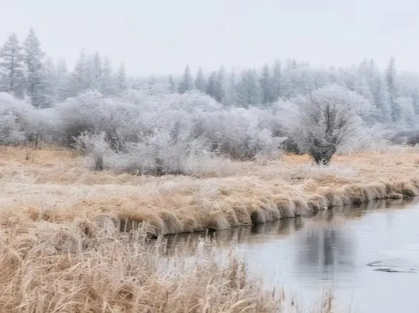 301XX 513th Ave, Ottertail, MN 56571