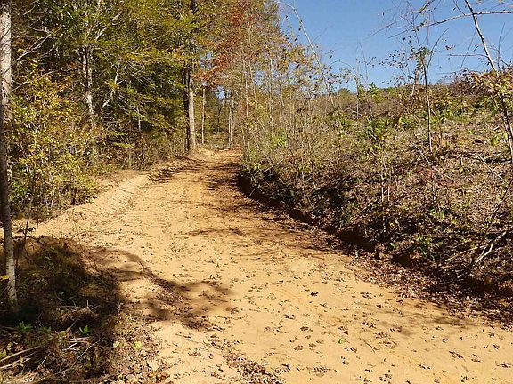 3rd image of County Road 540 #0