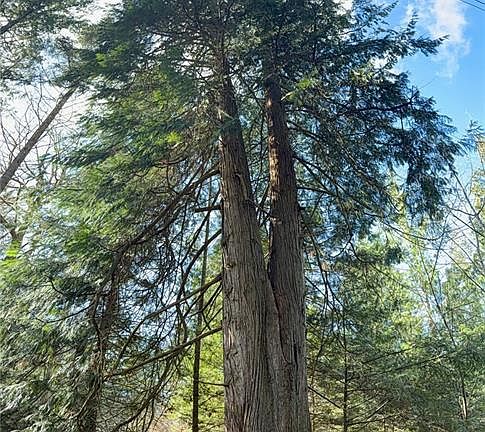 5th image of 2359 Kendall Rd