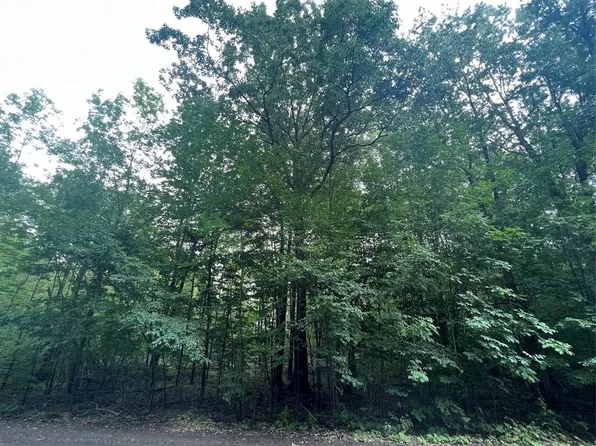 0.0 Cummings Rd, Greene, NY 13778