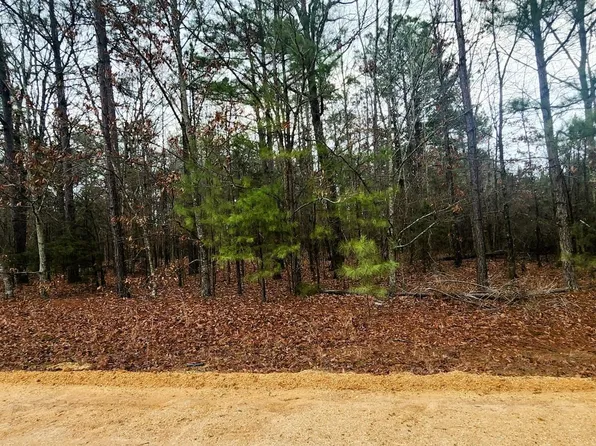 LOT 1 Bear Trl, Rison, AR 71665