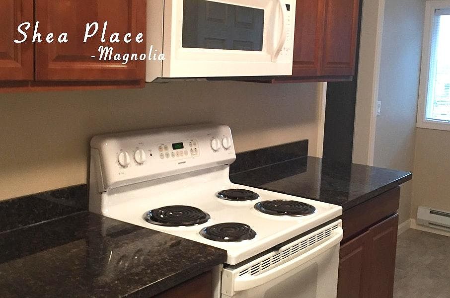 Granite Countertops in Kitchen