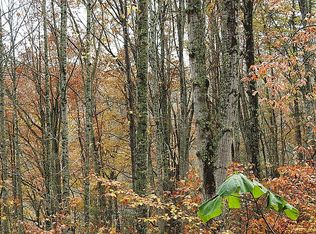 300 Banjo Ridge Rd, Butler, TN 37640