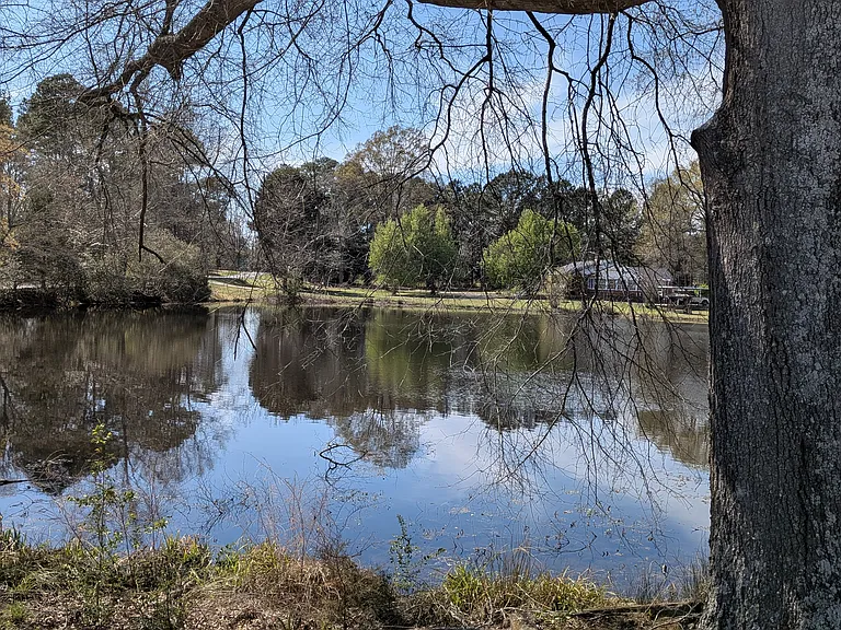 water view from front door