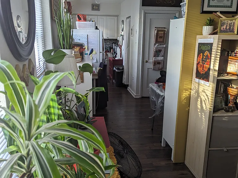 704 N Ter #A — Photo 4