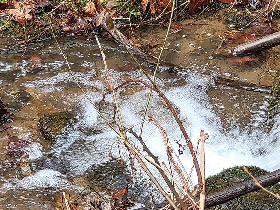 3rd image of 1271 Upper Higgins Cr Rd