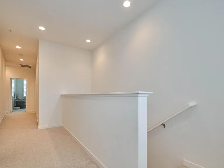 50 Finch — Photo 5