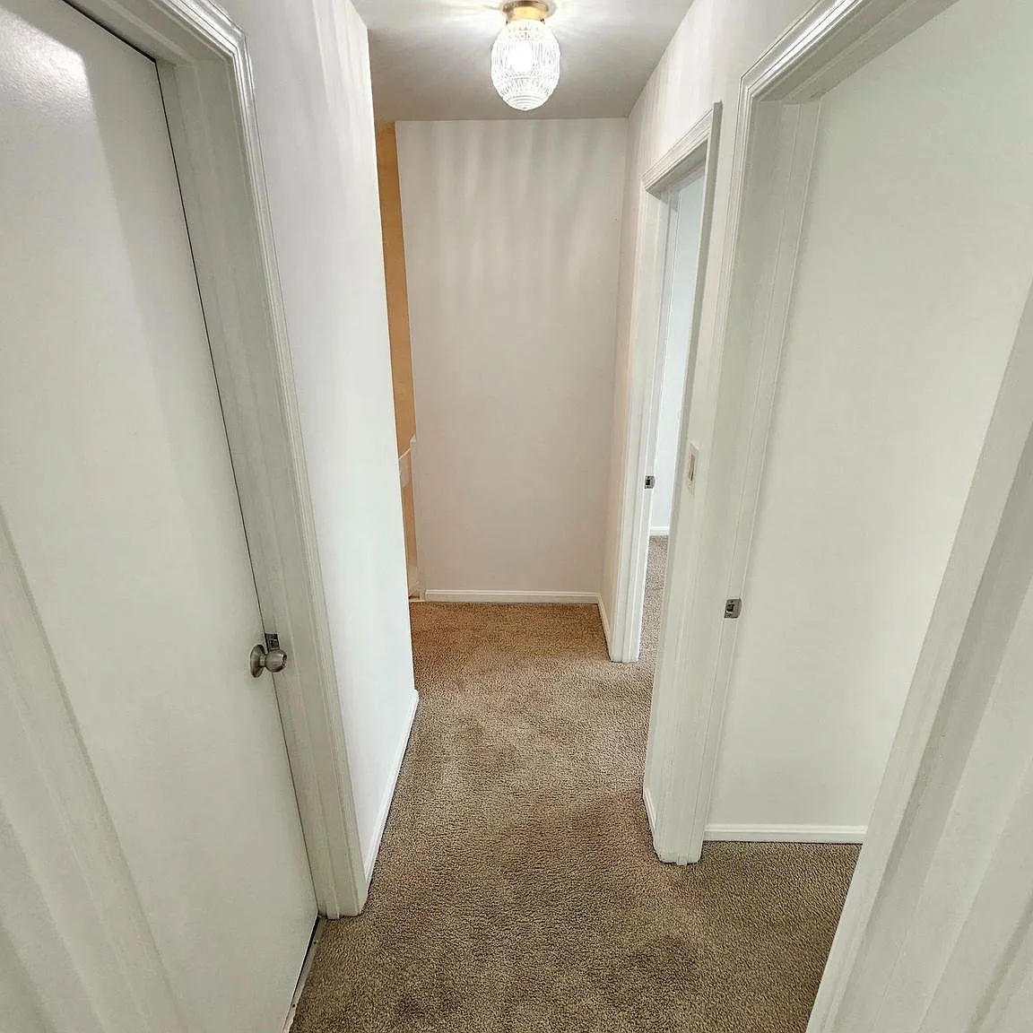 3 bed, 1.5 bath, 972 sqft, $2,300 — Photo 3