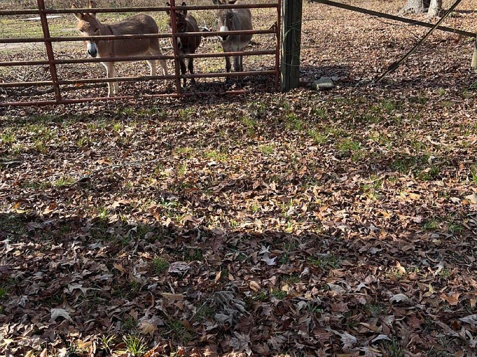 Corton Terrace Point Sw Ne&pt Southeast NW, Pearcy, AR 71964 MLS