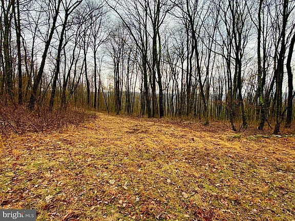 9th image of this home