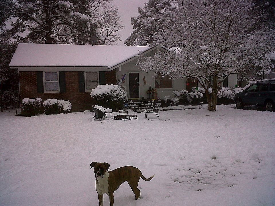 3 to 4 bedroom brick home newly remodeled!