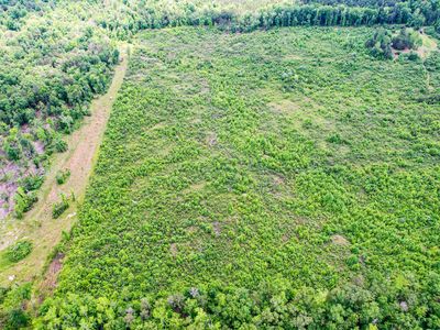 County Road 14, Flat Rock, AL, 35966