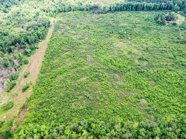 County Road 14, Flat Rock, AL 35966