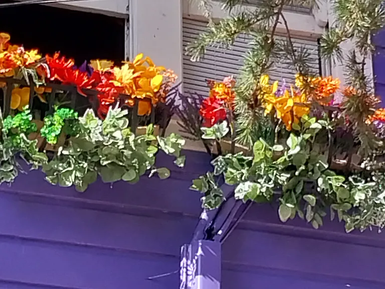 window boxes to show the changing seasons
