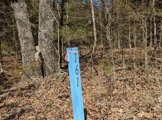 161 Green Acres Rd, Lampe, MO 65681