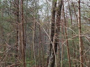 0 Staton Ridge Rd #13, Saluda, NC 28773