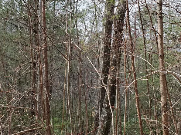 0 Staton Ridge Rd #13, Saluda, NC 28773