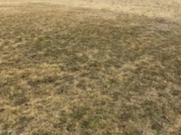 14 Boulder Dr Lot 25, Carlock, IL 61725