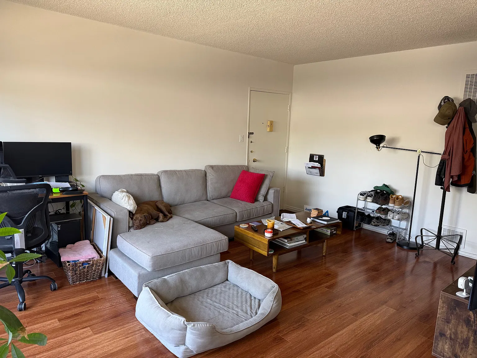 1 bed, 700 sqft, $2,300 — Photo 4