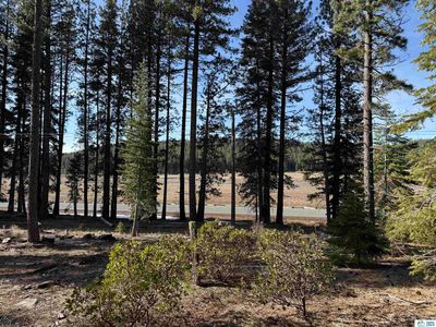 0 Highway 36, Westwood, CA, 96137