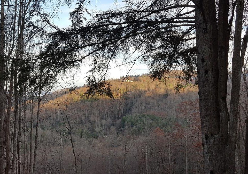 View from the deck